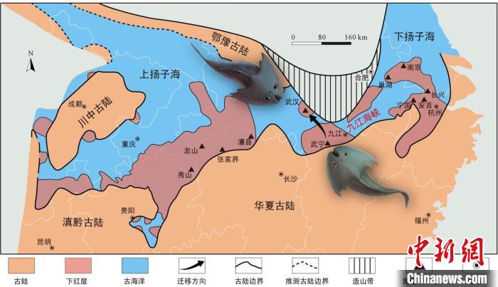 華南地區(qū)志留紀早期古地理圖和盔甲魚類化石產地(山顯任改自陳旭、戎嘉余，1996；戎嘉余等，2012) 中科院古脊椎所 供圖