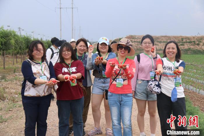 圖為臺胞體驗大美內(nèi)蒙古?！⊥袐I供圖