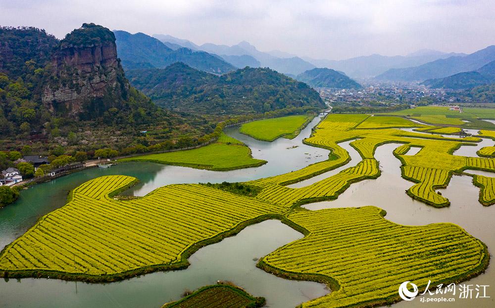 3月28日，航拍浙江省臨海市桃渚鎮(zhèn)桃江十三渚盛開的油菜花景色。人民網(wǎng) 章勇濤攝