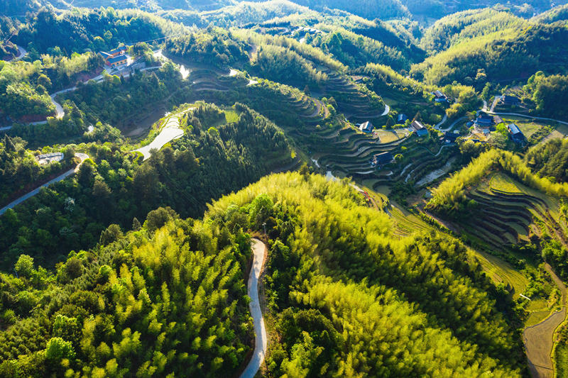 會(huì)同縣高椅鄉(xiāng)雪峰村的產(chǎn)業(yè)路盤旋在綠色的大山之間。田文國(guó)攝