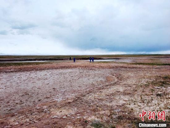 圖為救援力量在青海省西部搜救失聯(lián)的江蘇南京某大學(xué)女生黃某某。海西州藍天應(yīng)急救援中心 供圖