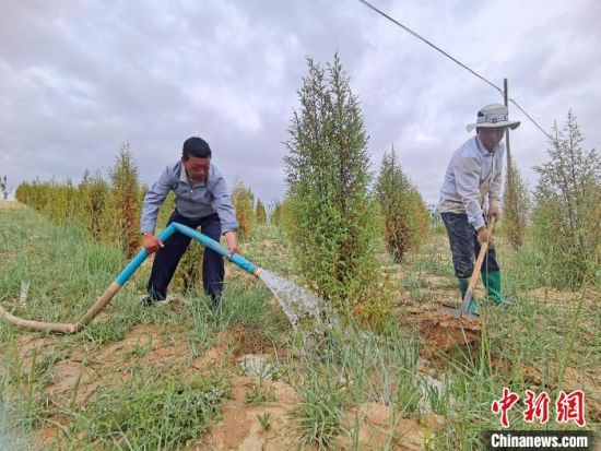 圖為扎西和村民給樹澆水。　祁增蓓　攝