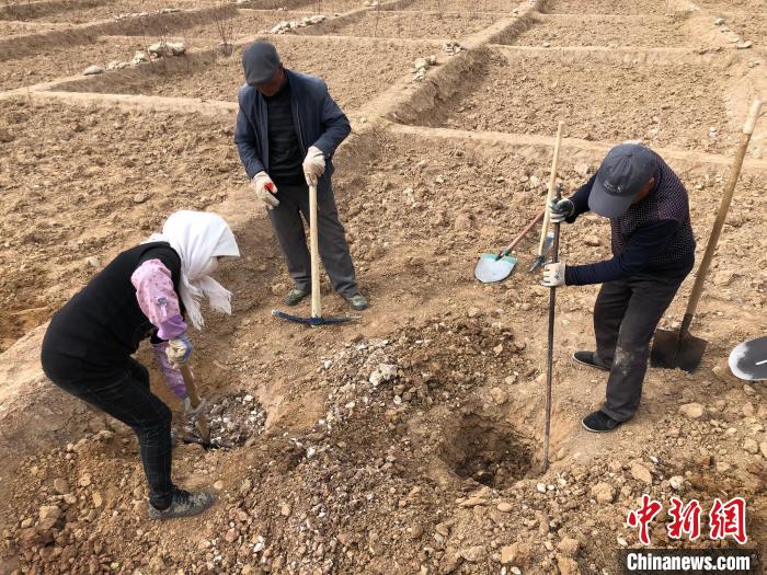 資料圖為建行青海省分行綠化區(qū)施工隊隊員處理亂石?！〗ㄐ星嗪Ｊ》中泄﹫D