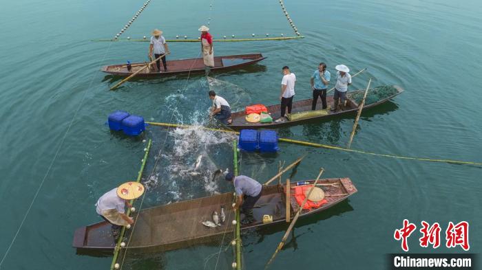 捕魚現(xiàn)場?！≈鬓k方供圖