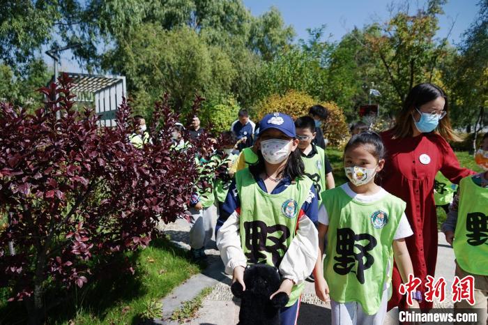 圖為小朋友在青海西寧湟水國家濕地公園內(nèi)認識植物?！●R銘言 攝