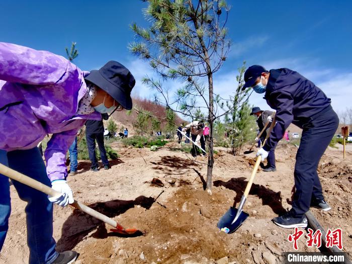 青海掀起春季義務(wù)植樹高潮今年計(jì)劃義務(wù)植樹1500萬株