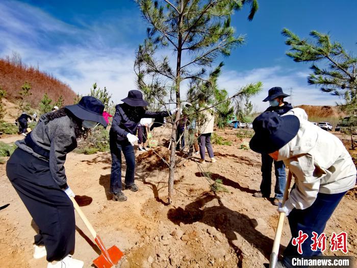 圖為西寧市城東區(qū)干部職工參加義務(wù)植樹?！?zhí)砀?攝