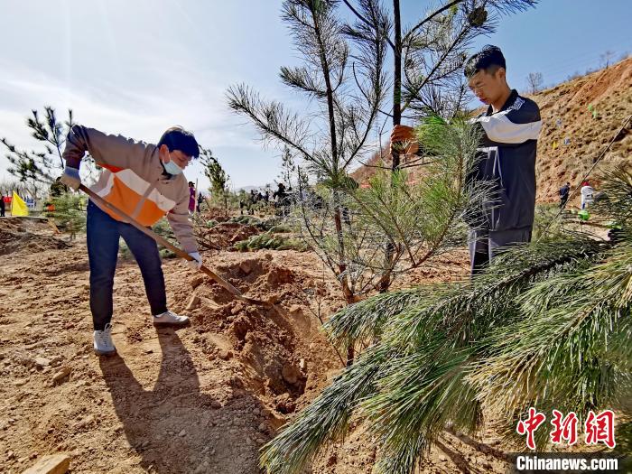 圖為西寧市城東區(qū)義務(wù)植樹活動現(xiàn)場。　張?zhí)砀?攝