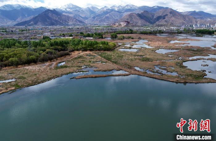 圖為拉薩拉魯濕地。(無人機(jī)照片) 李林 攝