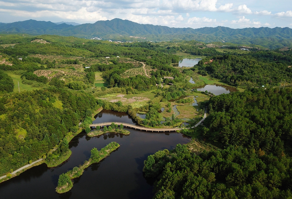 福建省龍巖市長汀縣的長汀汀江國家濕地公園景色（2020年7月28日攝，無人機照片）。新華社記者 魏培全 攝