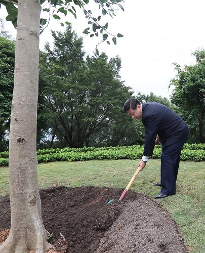 2012年12月7日至11日，習(xí)近平在廣東省考察工作。這是8日上午，習(xí)近平在深圳蓮花山公園種下一棵高山榕樹(shù)。新華社記者 蘭紅光 攝