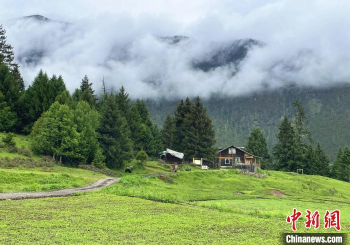 6月10日，魯朗小鎮(zhèn)高山牧場(chǎng)景區(qū)風(fēng)光?！∪轿木?攝