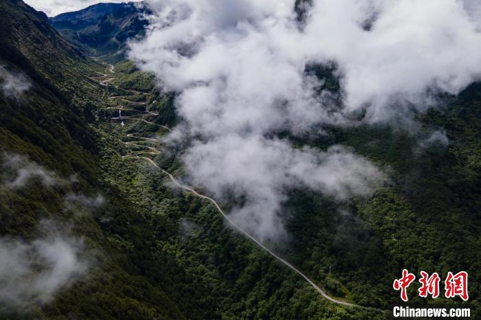 西藏山南勒布溝景區(qū)的盤山公路被云霧環(huán)繞?！〗w波 攝