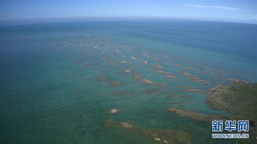 （新華全媒頭條·圖文互動）（5）大湖見證 ——持續(xù)保護讓青海湖生態(tài)華麗“蝶變”