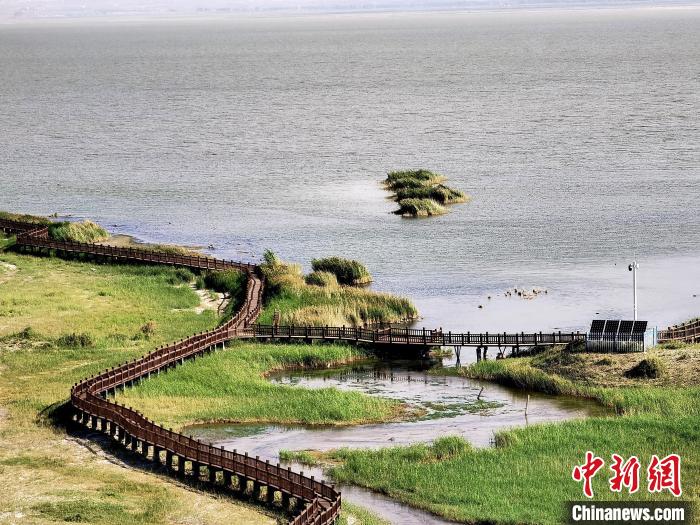 圖為都蘭湖國(guó)家濕地公園觀光棧道?！∑钤鲚?攝