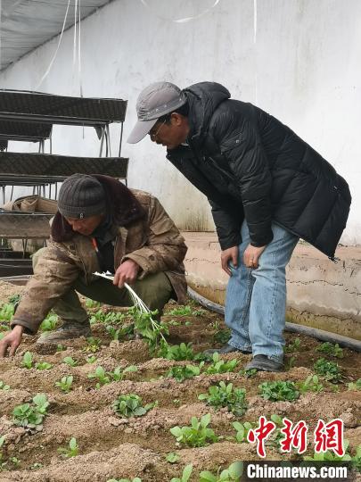 圖為尼瑪扎西(右)與西藏農(nóng)民聊天(資料圖)。西藏農(nóng)科院 供圖