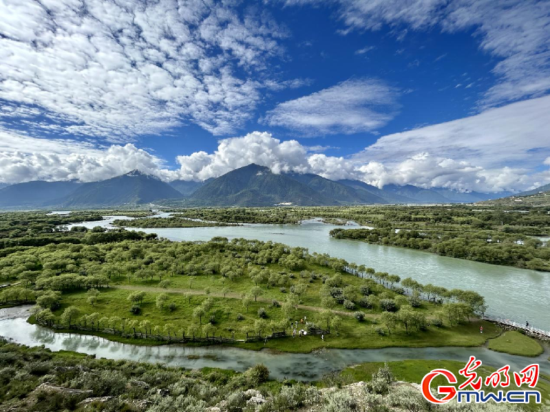 我們的家園丨【組圖】 綠水青山入畫，“金山銀山”筑起