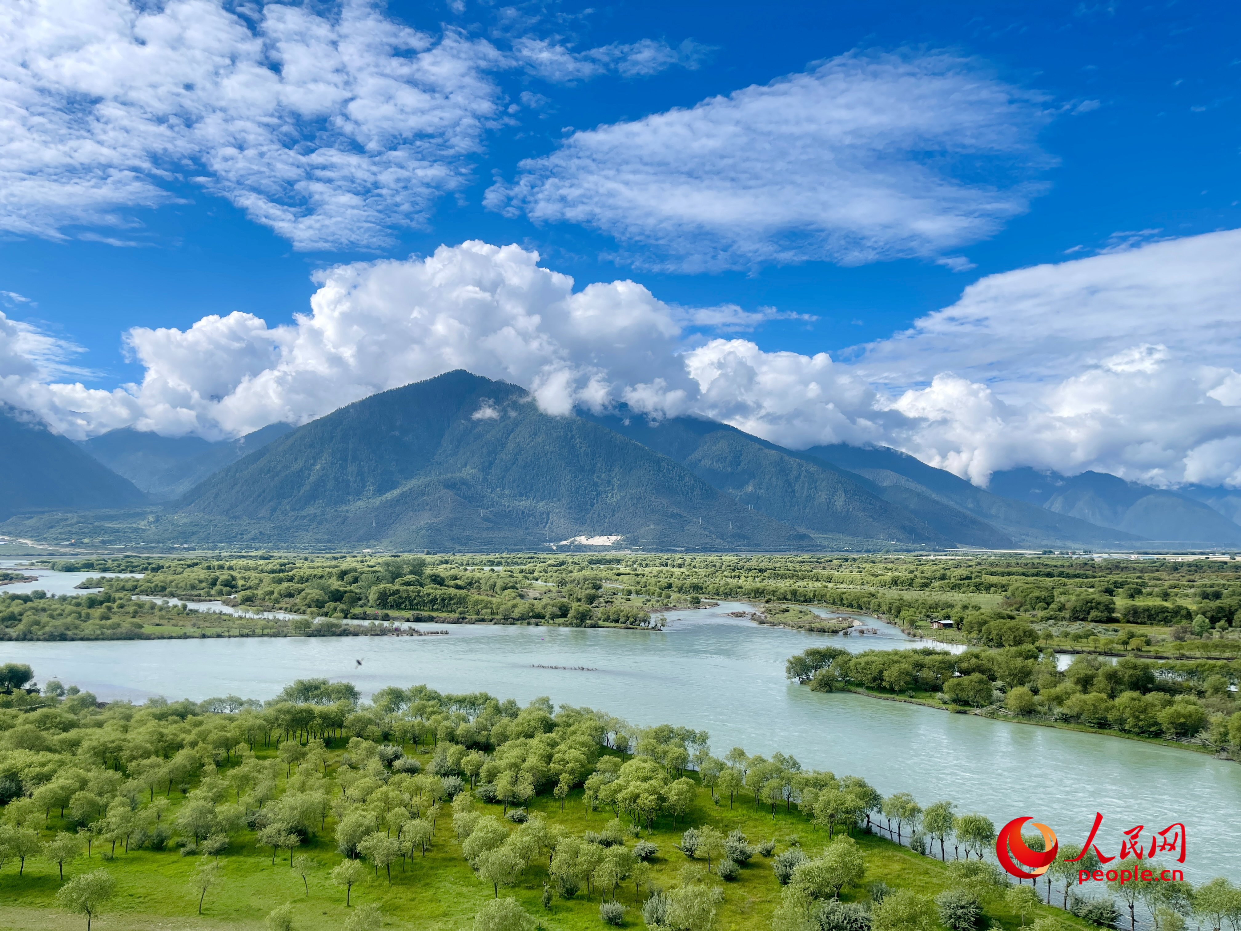 夏日的雅尼國(guó)家濕地公園生機(jī)盎然，如詩(shī)如畫(huà)。人民網(wǎng) 周靜圓攝