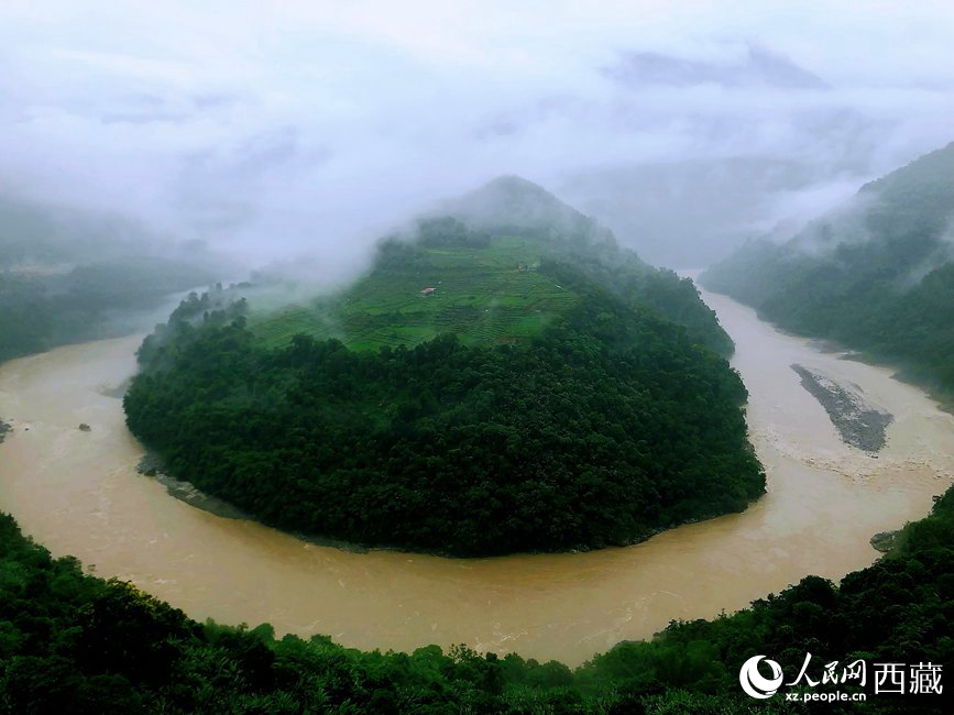 雅魯藏布江大峽谷蛇形拐彎處，山坡上種滿茶樹。