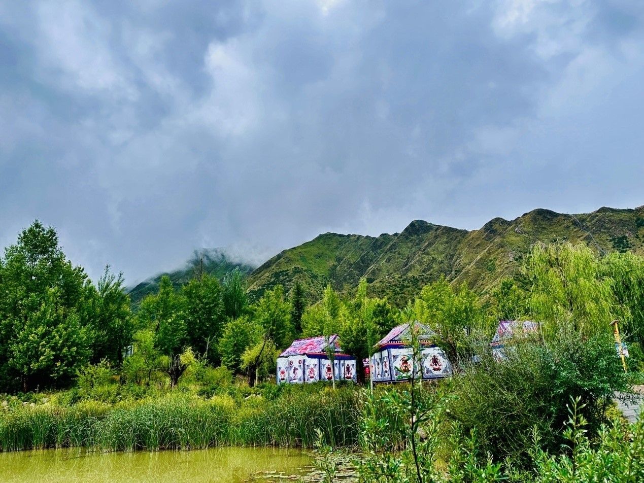 郁郁蔥蔥的南山公園。人民網(wǎng)記者 益西康珠攝